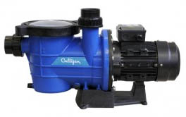water_pumps_for_swimming_pools